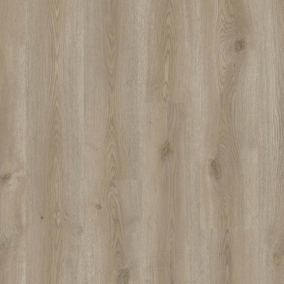 Th_Lvt_Id_Classics_Contemporary_Oak_Grege.jpg #! Trpst#trp-gettext data-trpgettextoriginal=6384#! Trpen#id classics glue-down 30 - contemporary oak grege - image 1#! Trpst#/trp-gettext#! Trpen#
