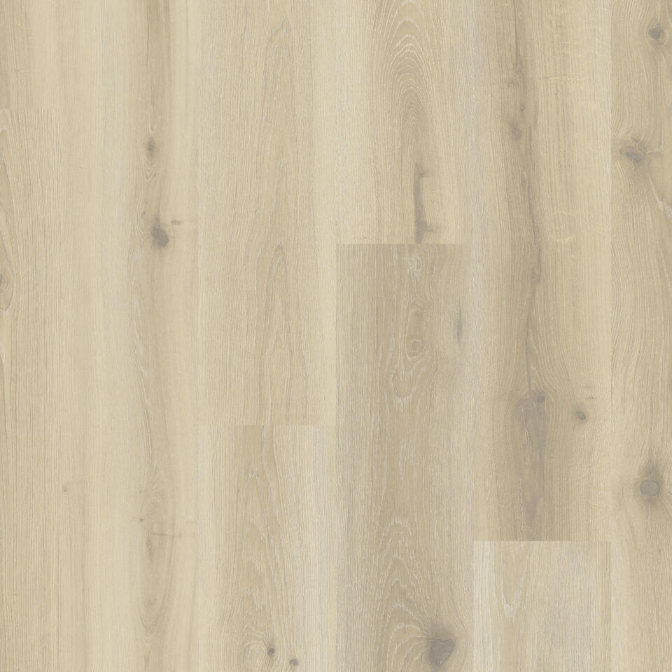 Th_Lvt_Id_Naturals_Forest_Oak_Pistachio_Shell.jpg #! Trpst#trp-gettext data-trpgettextoriginal=6384#! Trpen#id naturals glue-down 55 - forest oak pistachio shell - image 1#! Trpst#/trp-gettext#! Trpen#