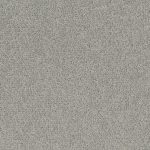 Palatino - Palatino A072 1318