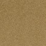 Palatino - Palatino A072 2036