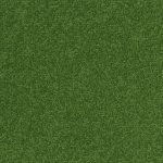 Palatino - Palatino A072 7121