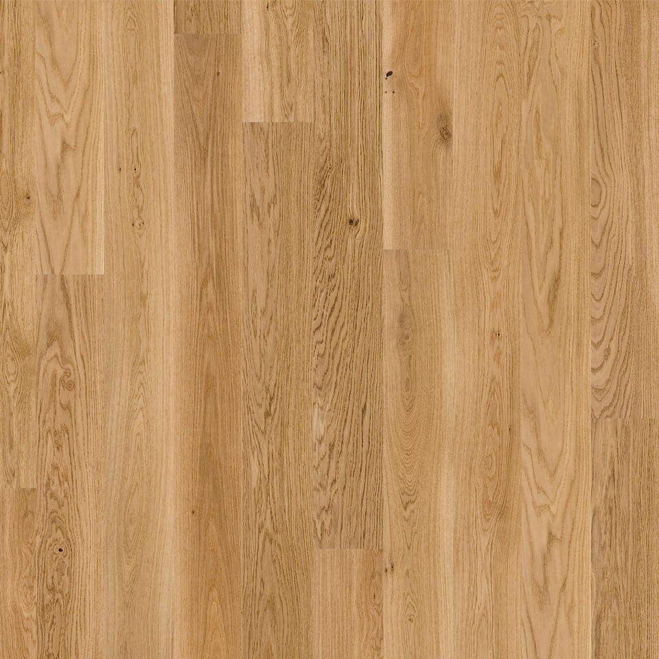 Th_Pure-Oak-Nature-Plank-7876131_7876132_7878912_7878911_001.Jpg #! Trpst#trp-gettext data-trpgettextoriginal=6384#! Trpen#pure - oak nature plank (1-strip) - image 1#! Trpst#/trp-gettext#! Trpen#