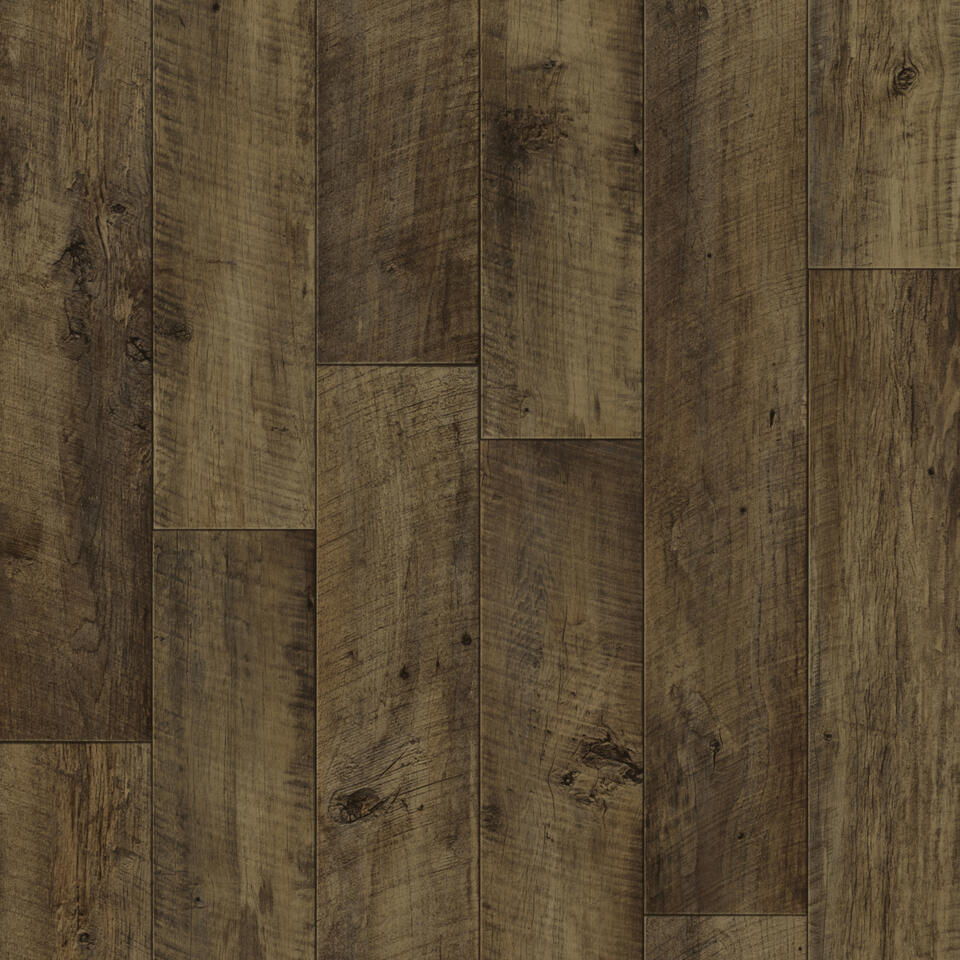 Th_Rr_Iconik_Authentic_Chocolate_001.Jpg iconik 280tex - authentic chocolate - الصورة 1