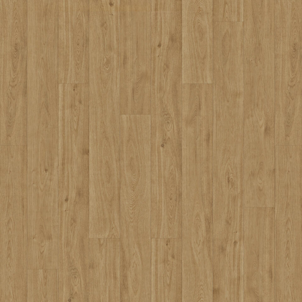 Th_Rr_Iconik_Chene_Natural_001.Jpg #! Trpst#trp-gettext data-trpgettextoriginal=6384#! Trpen#iconik 150 - chene natural - image 1#! Trpst#/trp-gettext#! Trpen#