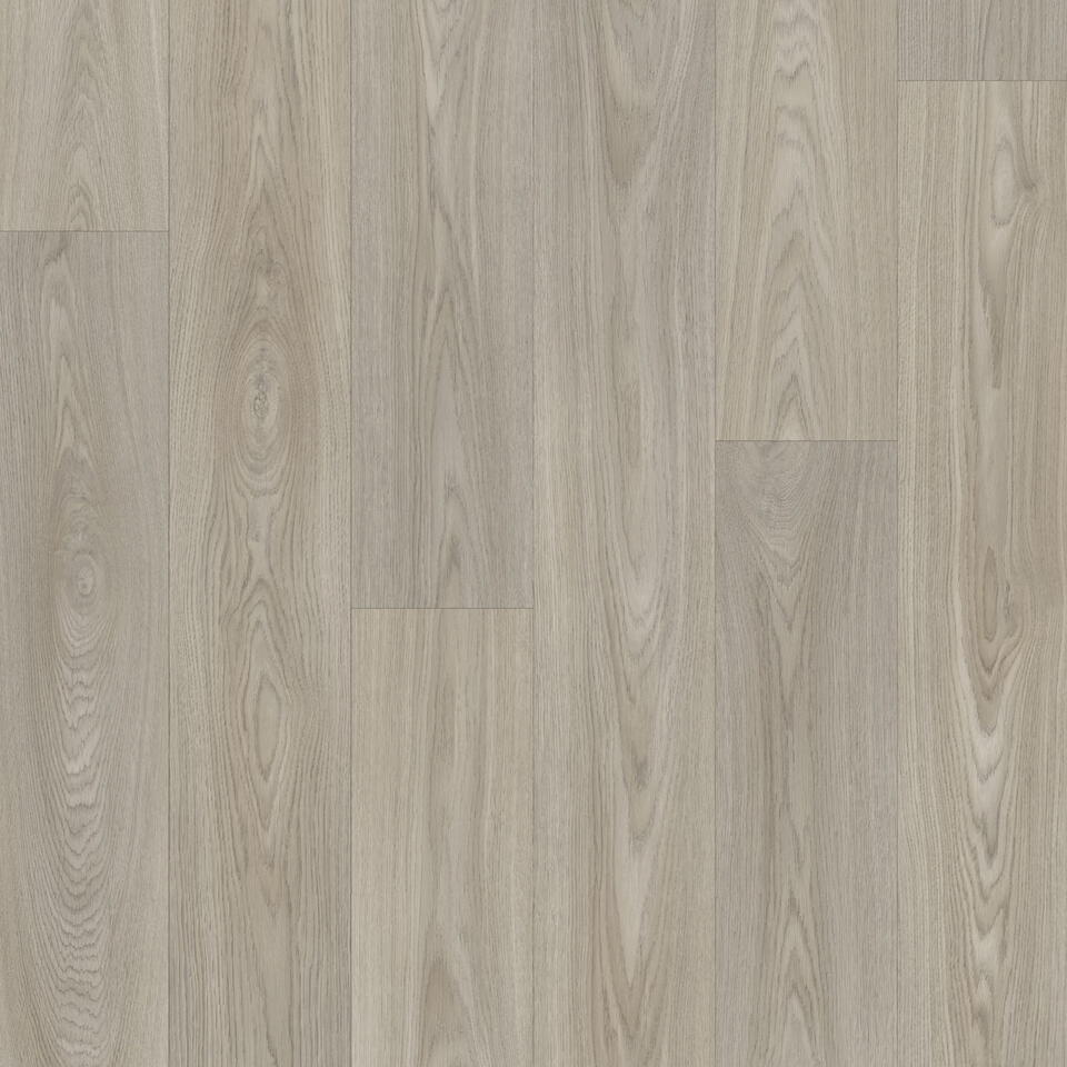Th_Rr_Iconik_Citizen_Oak_Medium_Grey_001.Jpg #! Trpst#trp-gettext data-trpgettextoriginal=6384#! Trpen#iconik 240 - citizen oak medium grey - image 1#! Trpst#/trp-gettext#! Trpen#