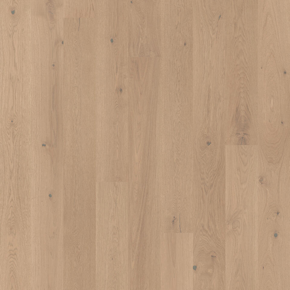 Th_Wood_Grace_Oak_Beige_Cashmere_Plank_Xt_7877069_001.Jpg #! Trpst#trp-gettext data-trpgettextoriginal=6384#! Trpen#grace - oak beige cashmere plank xt (1-strip) - image 1#! Trpst#/trp-gettext#! Trpen#