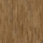 Shade - OAK ALMOND TRES (3-strip)
