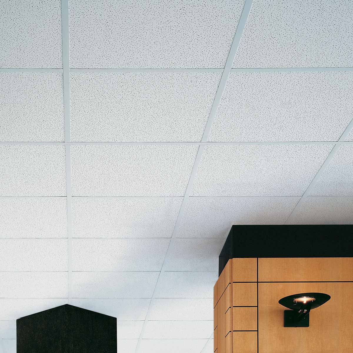 Fns665-1.Jpg #! Trpst#trp-gettext data-trpgettextoriginal=6384#! Trpen#favia acoustical ceiling - image 1#! Trpst#/trp-gettext#! Trpen#