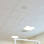 Louna™ Natural Acoustical Ceiling